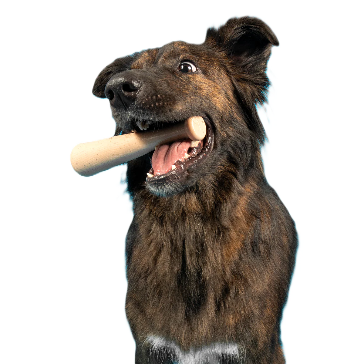 Drooleyville Slobber Durable Super Chewer Gnaw Dog Toy - Image 2
