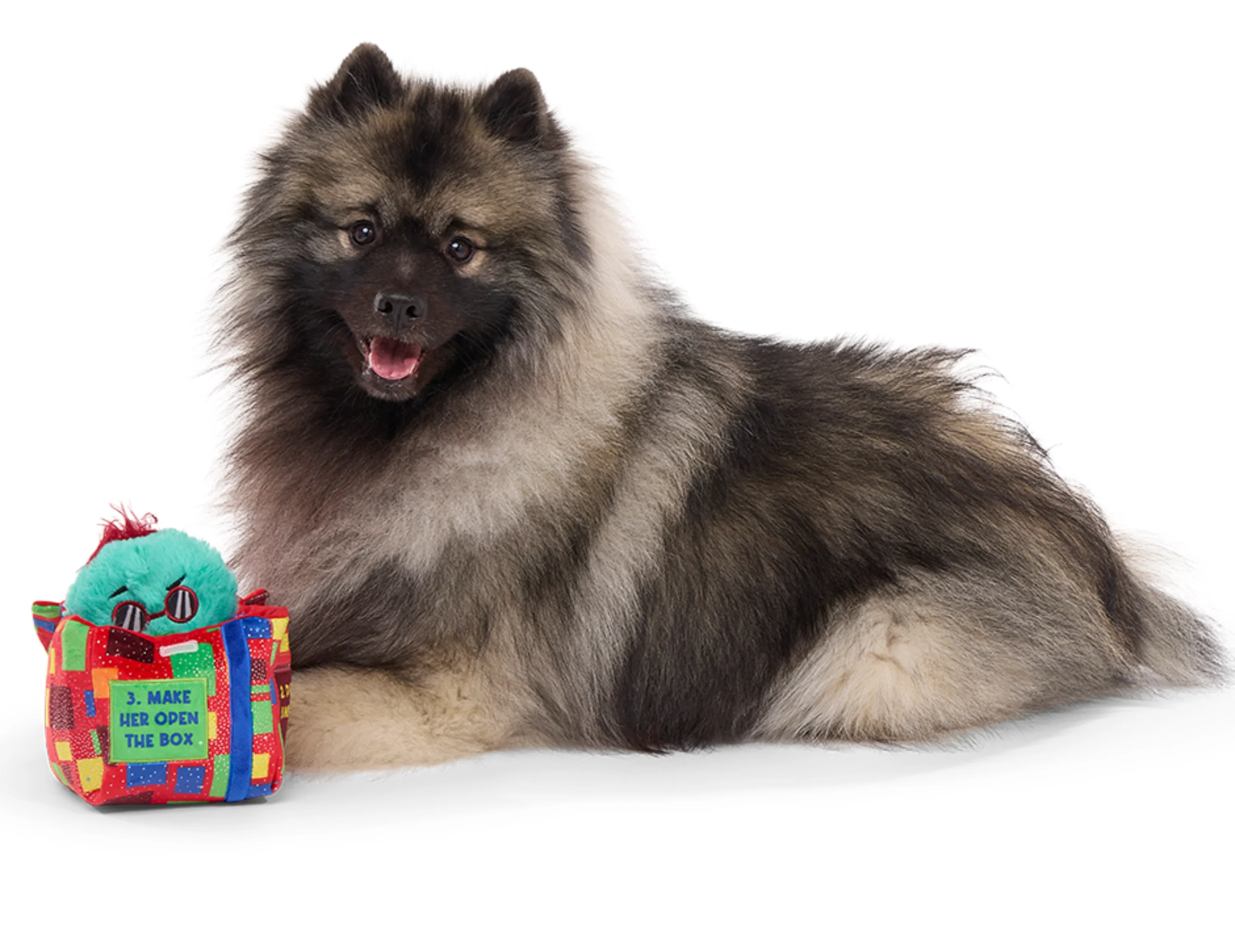 Saturday Night Live: Duck in A Box Plush Multi-Part + Enrichment Dog Toy - Image 3