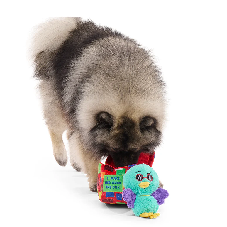 Saturday Night Live: Duck in A Box Plush Multi-Part + Enrichment Dog Toy - Image 9