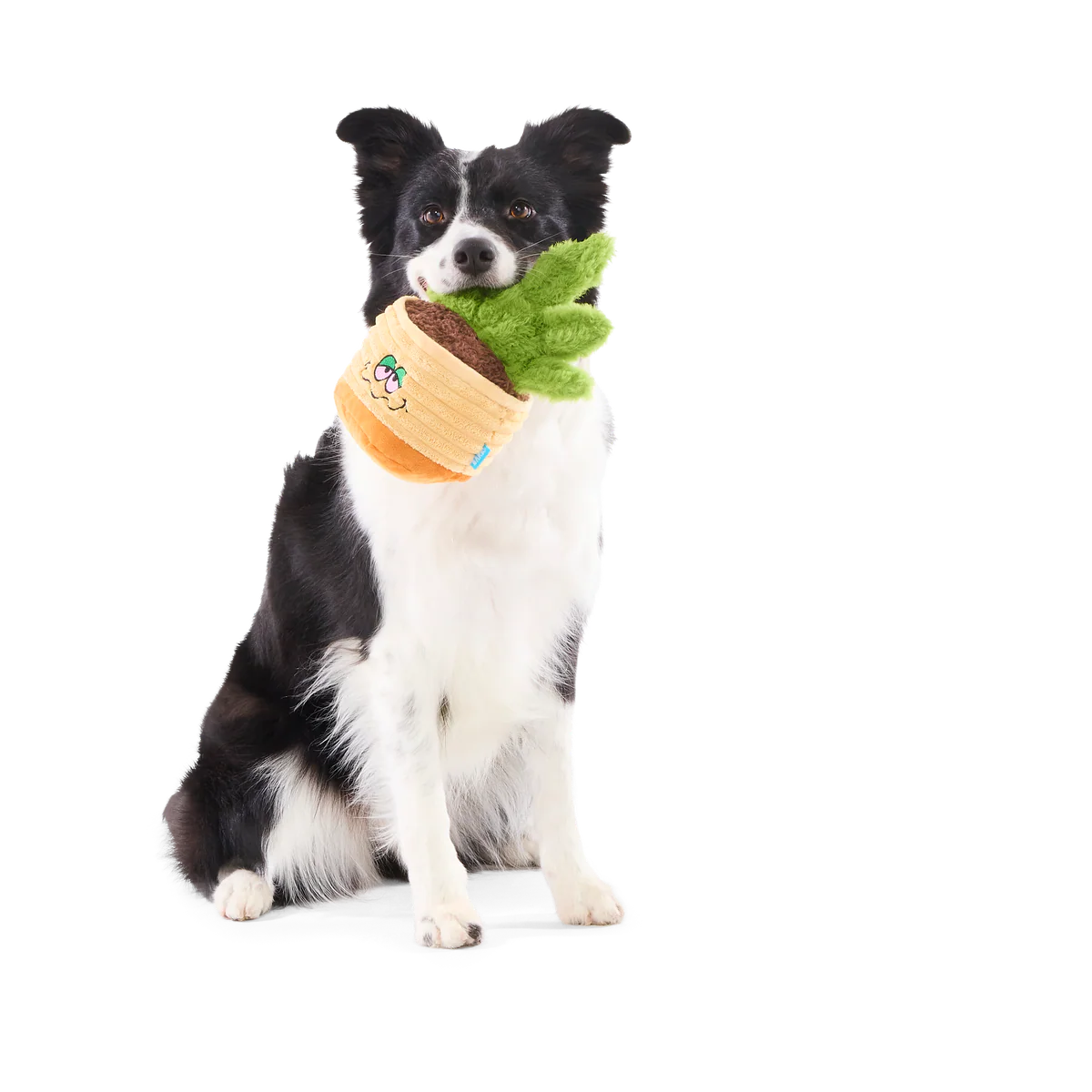 Easy Grows It Plush Tug Dog Toy - Image 2