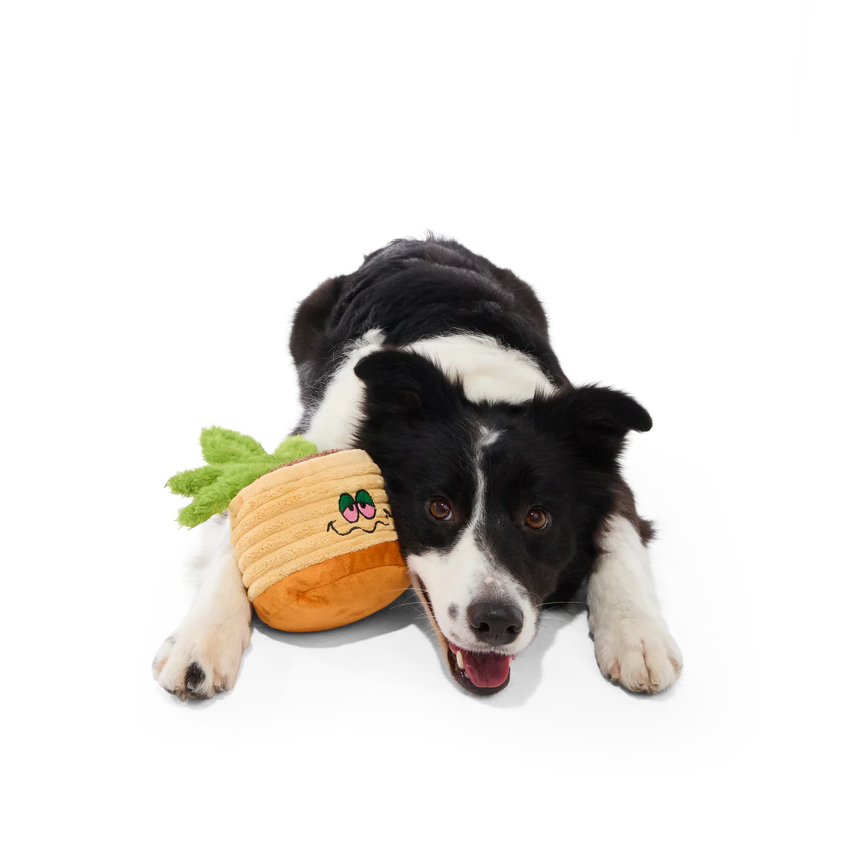 Easy Grows It Plush Tug Dog Toy - Image 3
