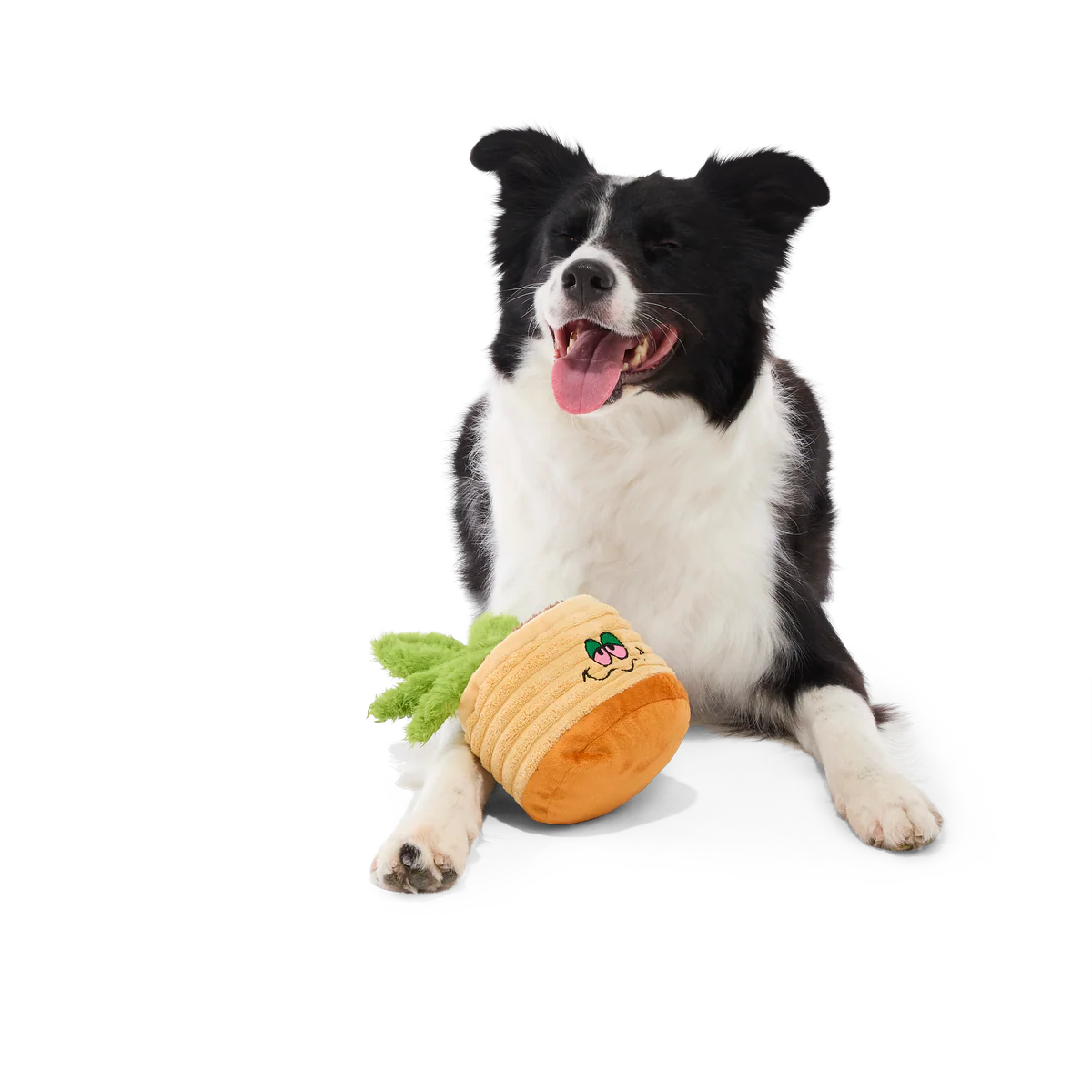 Easy Grows It Plush Tug Dog Toy - Image 4