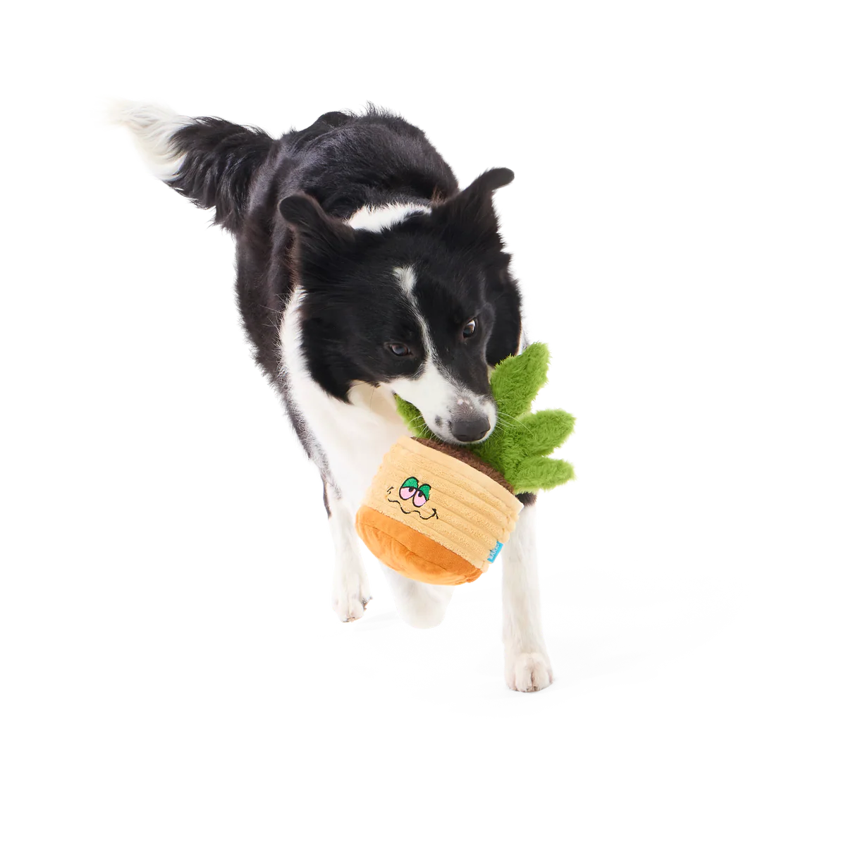 Easy Grows It Plush Tug Dog Toy - Image 5