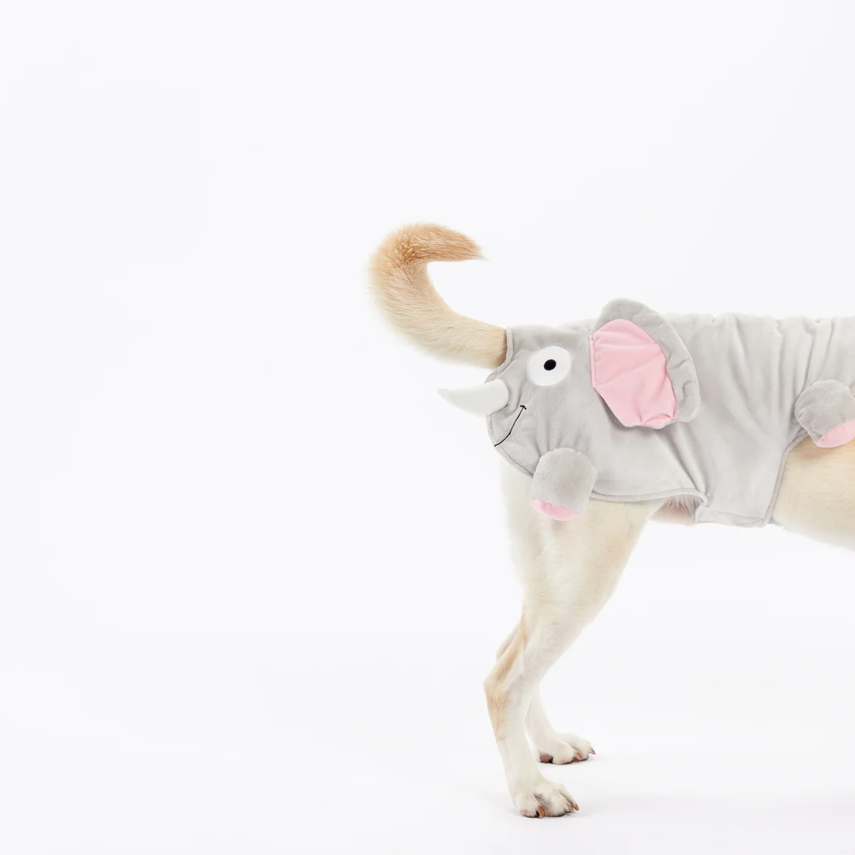 Elephant Dog Costume - Image 2