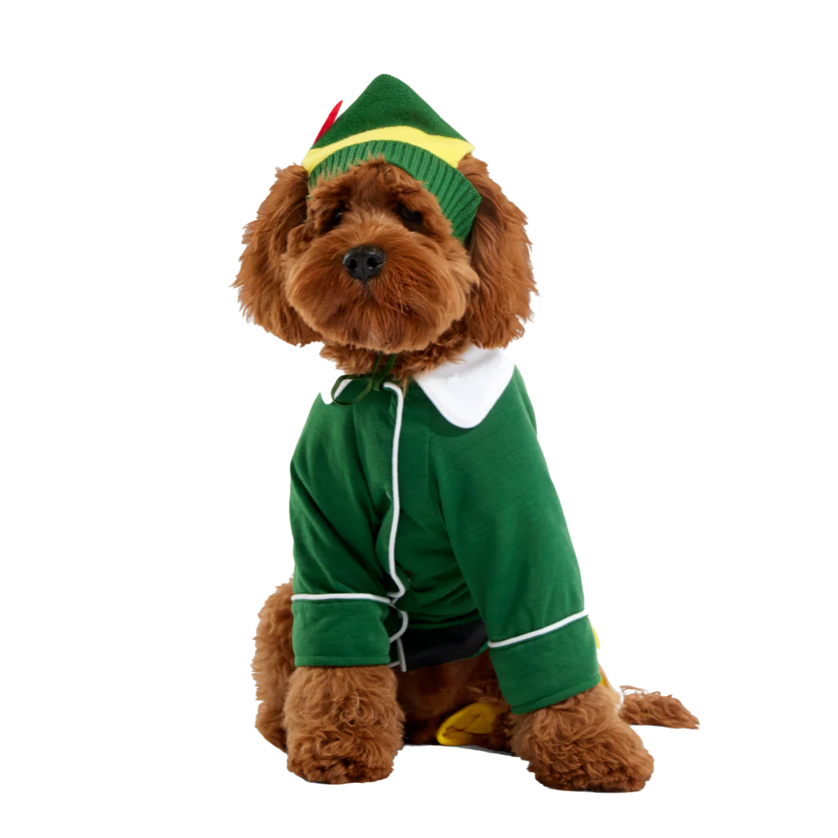 Elf Dog Toy & Treat Holiday Gift Box - Image 5