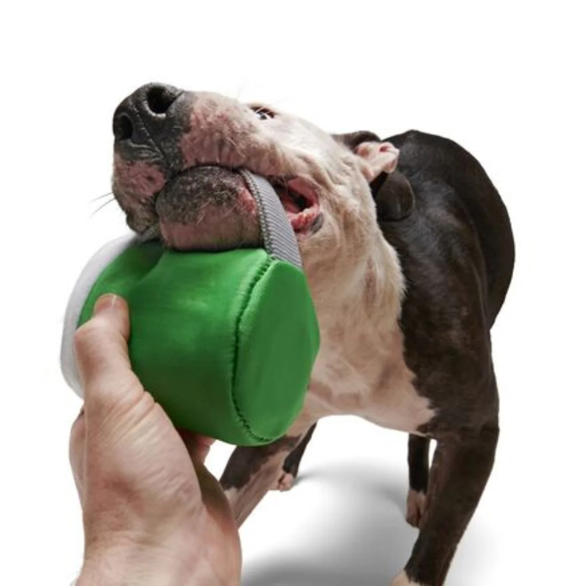Erin Go Brew Durable Super Chewer 2-in-1 Rip and Reveal Dog Toy - Image 2