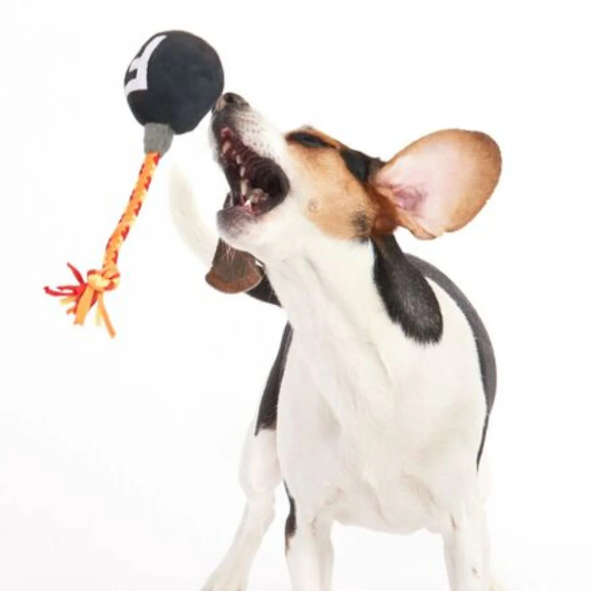 F Bomb Plush Tug Dog Toy - Image 2