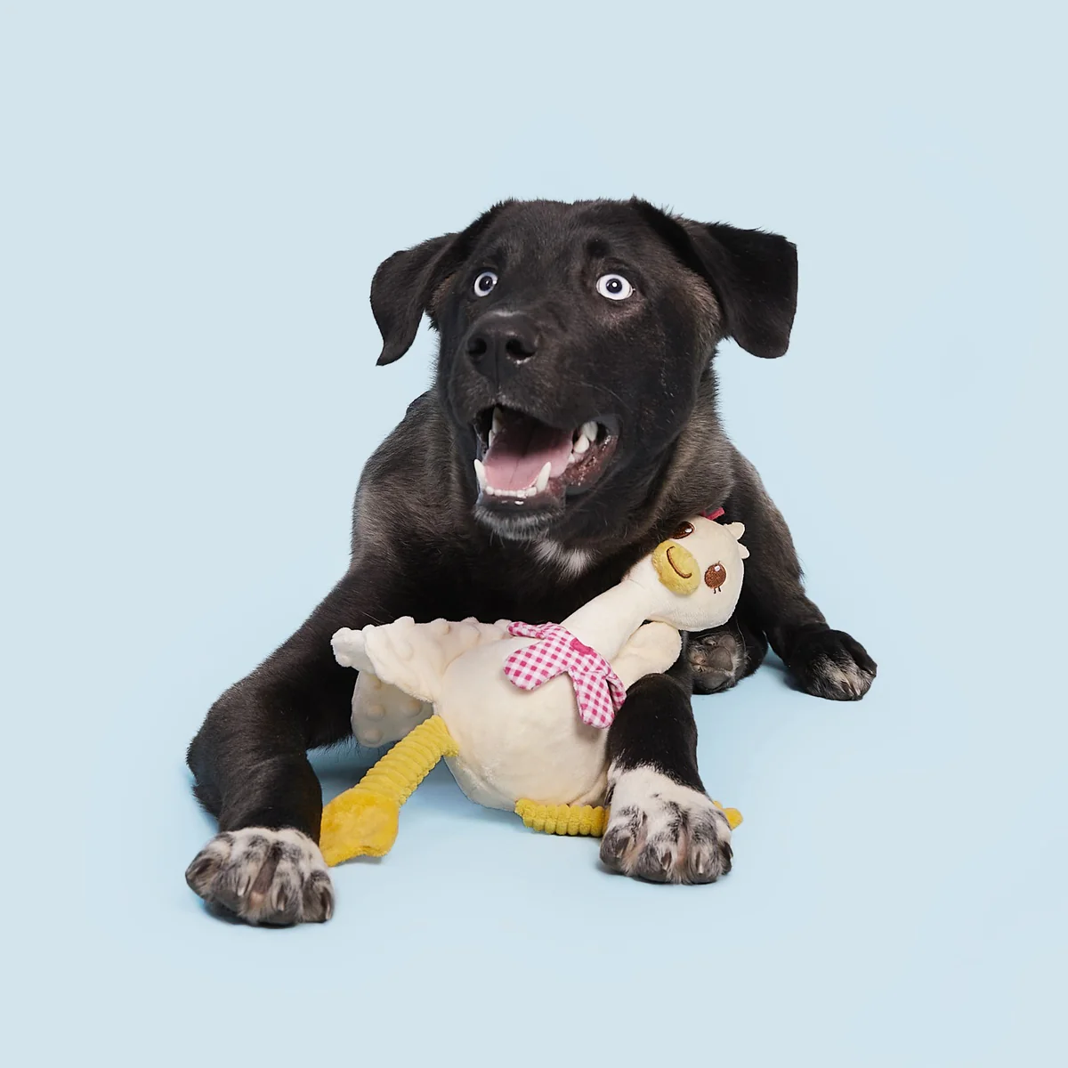 Farmer's Barket Gingham Goose Plush Tug + Extra-Large Dog Toy - Image 3