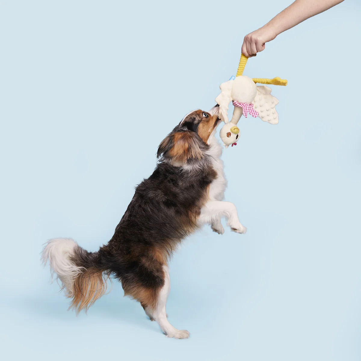 Farmer's Barket Gingham Goose Plush Tug + Extra-Large Dog Toy - Image 4