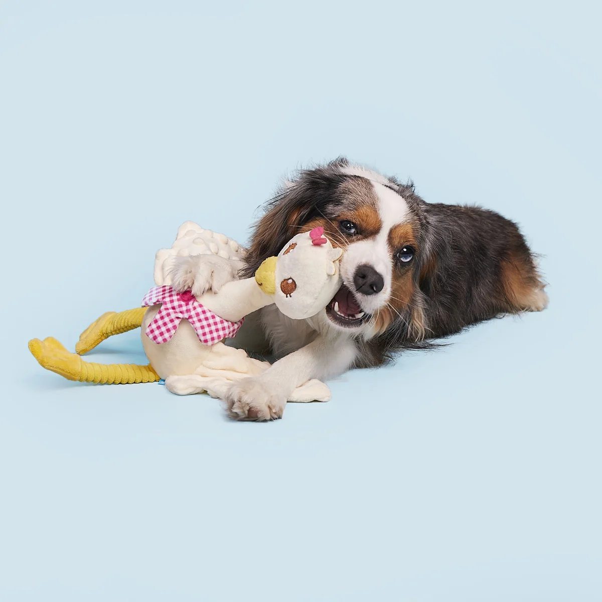 Farmer's Barket Gingham Goose Plush Tug + Extra-Large Dog Toy - Image 5