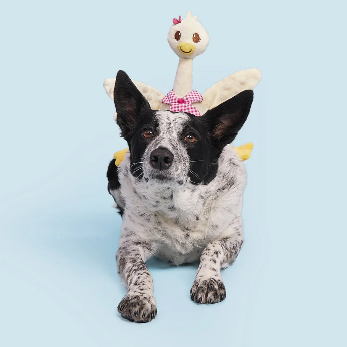 Farmer's Barket Gingham Goose Plush Tug + Extra-Large Dog Toy - Image 6