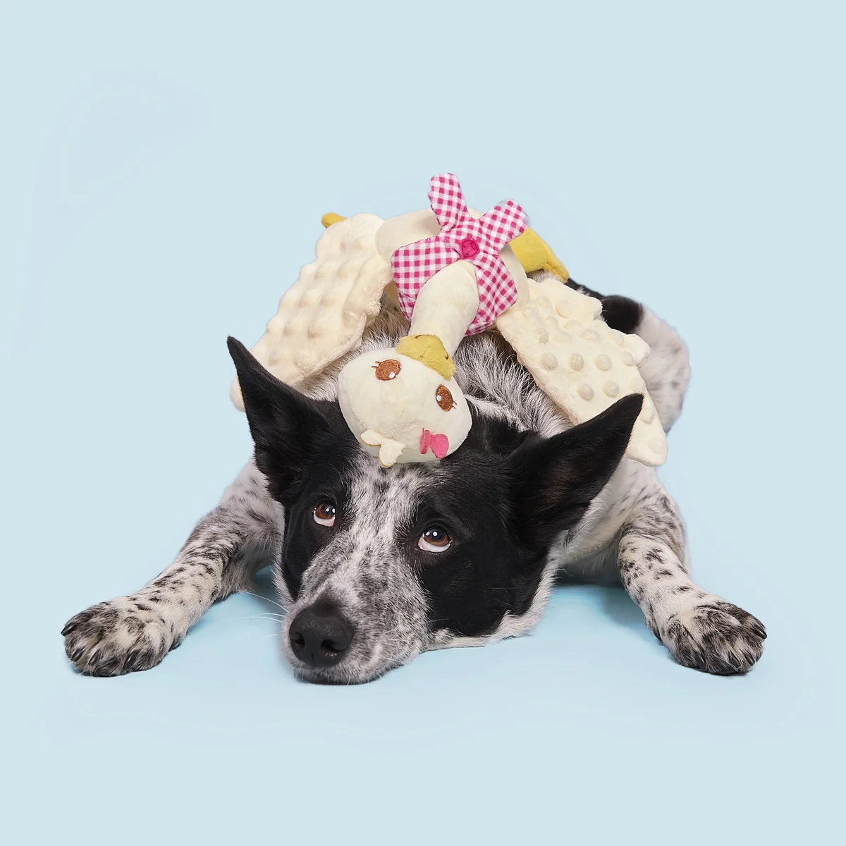 Farmer's Barket Gingham Goose Plush Tug + Extra-Large Dog Toy - Image 7