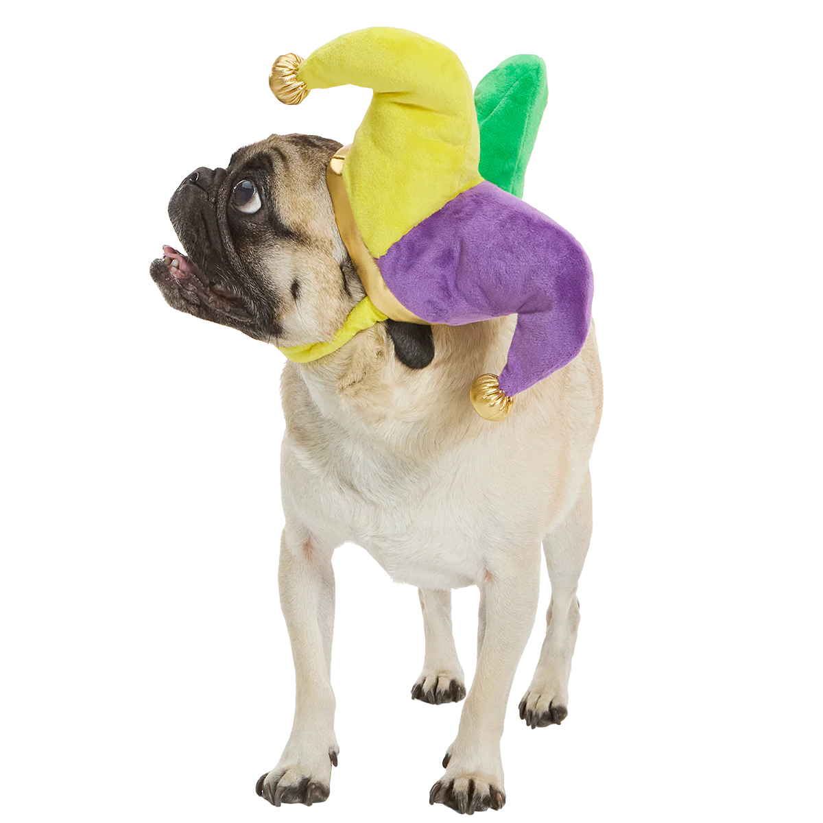 Fat Chewsday Hat Plush Wearable Tug Dog Toy - Image 2