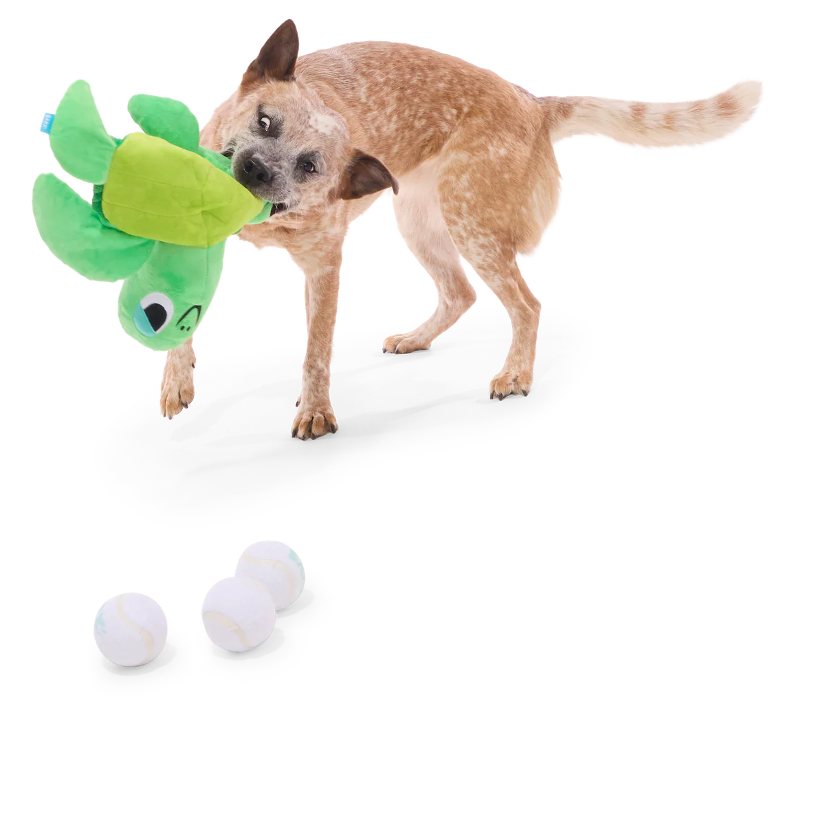 Fertile Myrtle Plush Extra- Large Enrichment + Fetch + 3-in-1 Dog Toy