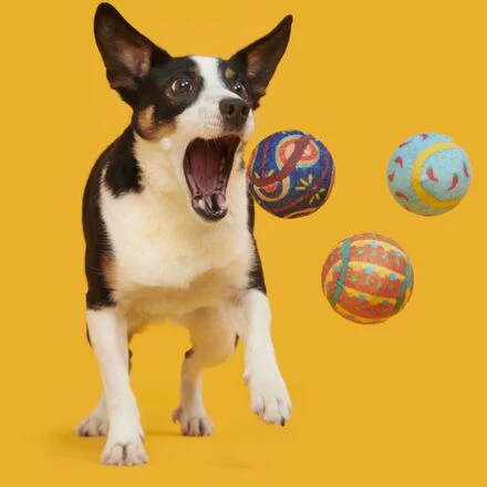 Fetch Mex Tennis Balls Multi-Part + Fetch Dog Toy - Image 2