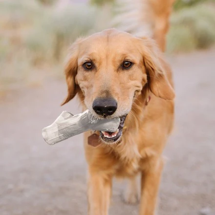 Fetch Stick Durable Super Chewer Dog Toy - Image 2