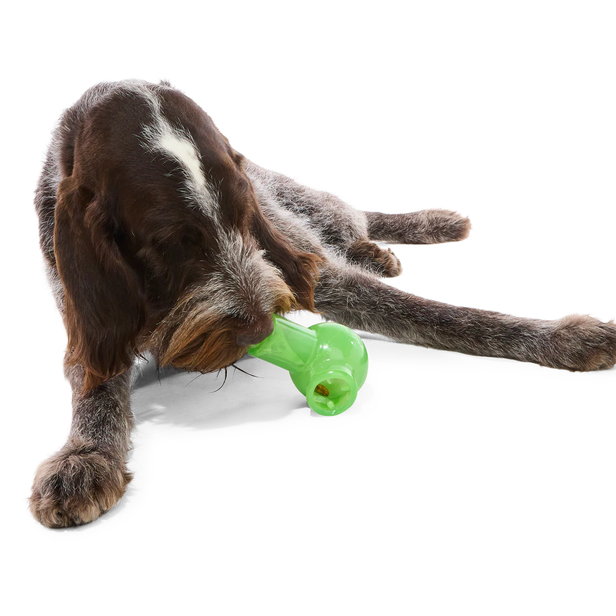 Fill-A-Bong Super Chewer Durable Gnaw + Enrichment Dog Toy - Image 2