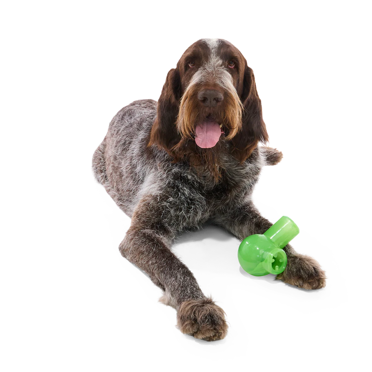 Fill-A-Bong Super Chewer Durable Gnaw + Enrichment Dog Toy - Image 4