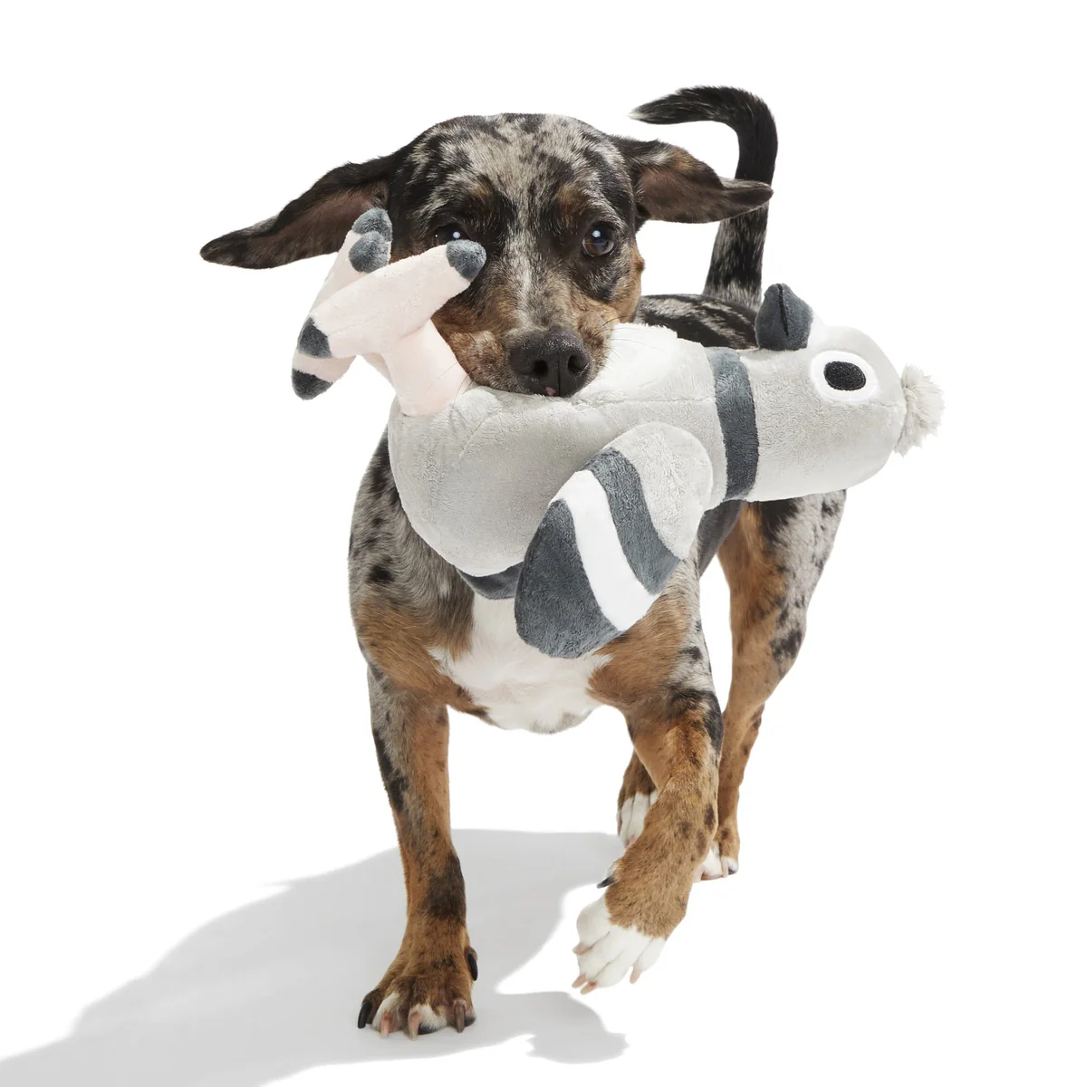 Flappin' Flossie Plush Tug Dog Toy - Image 2