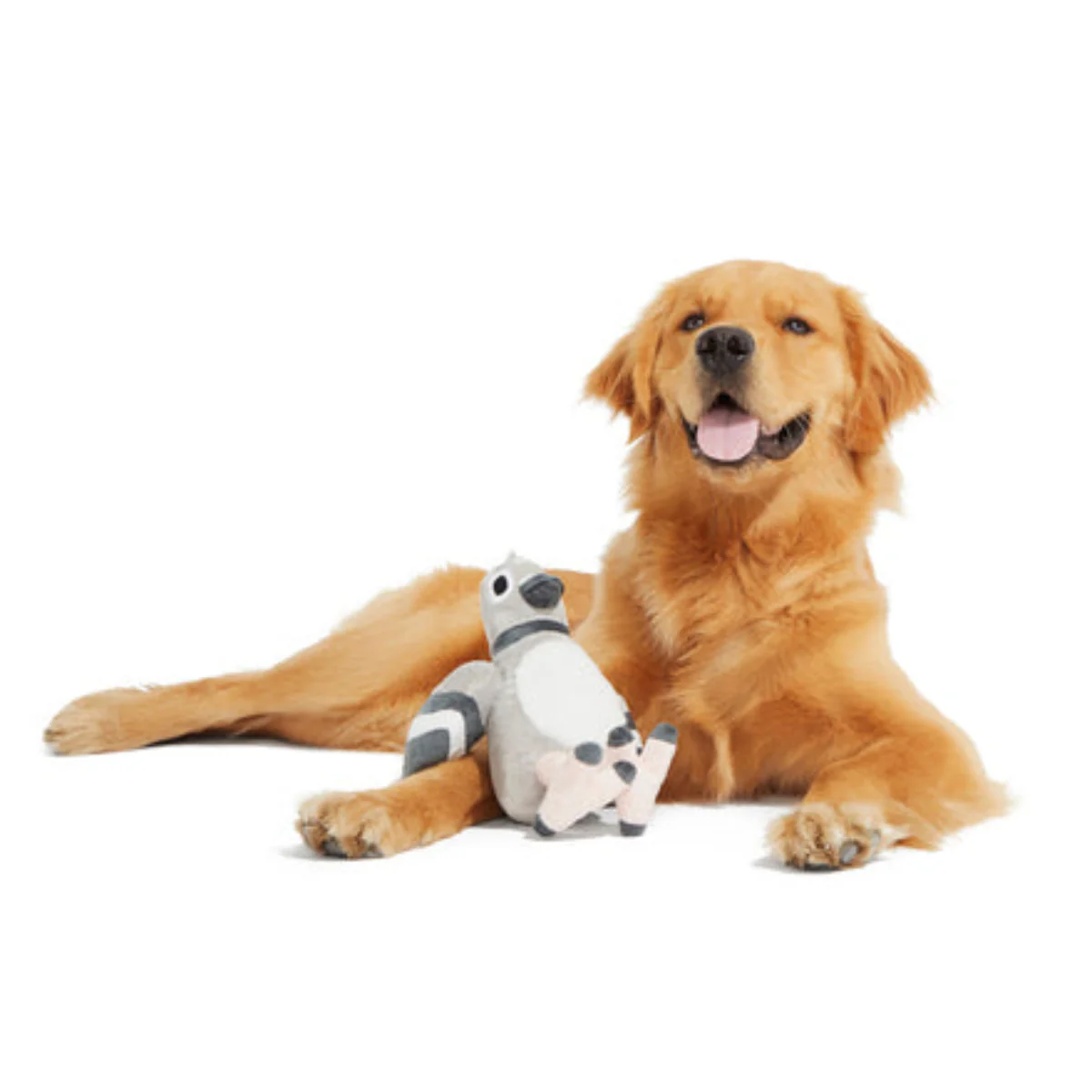 Flappin' Flossie Plush Tug Dog Toy - Image 3
