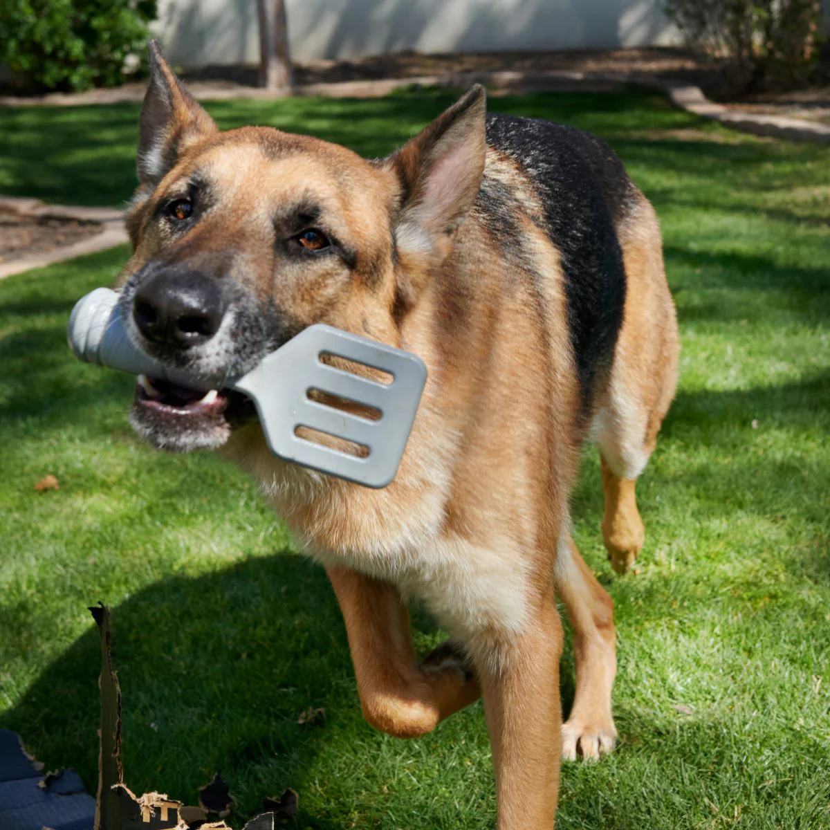 Flip It Good Spatula - Image 3