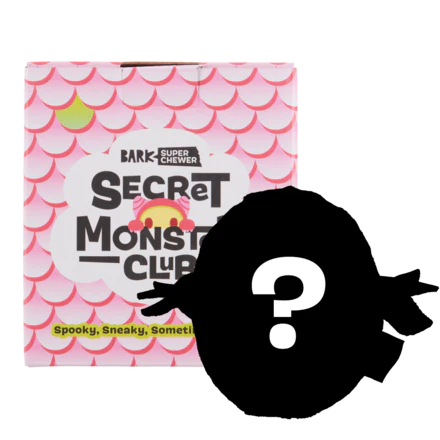 Flur - Secret Monster Club