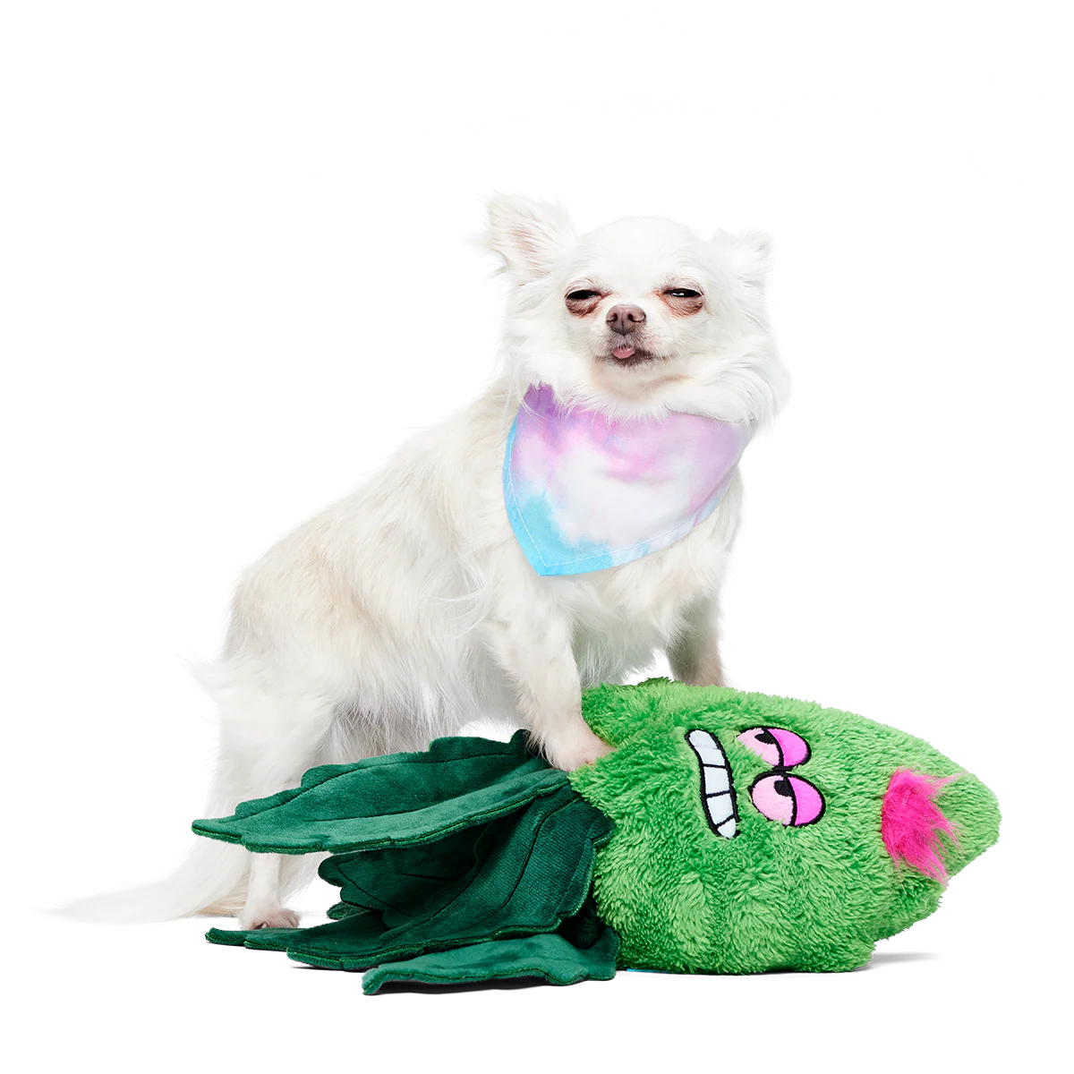 Foggy Green Giant Extra-Large Plush Dog Toy