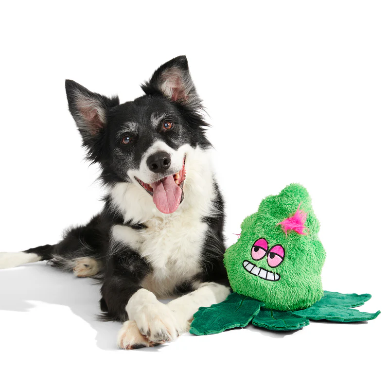 Foggy Green Giant Extra-Large Plush Dog Toy - Image 3