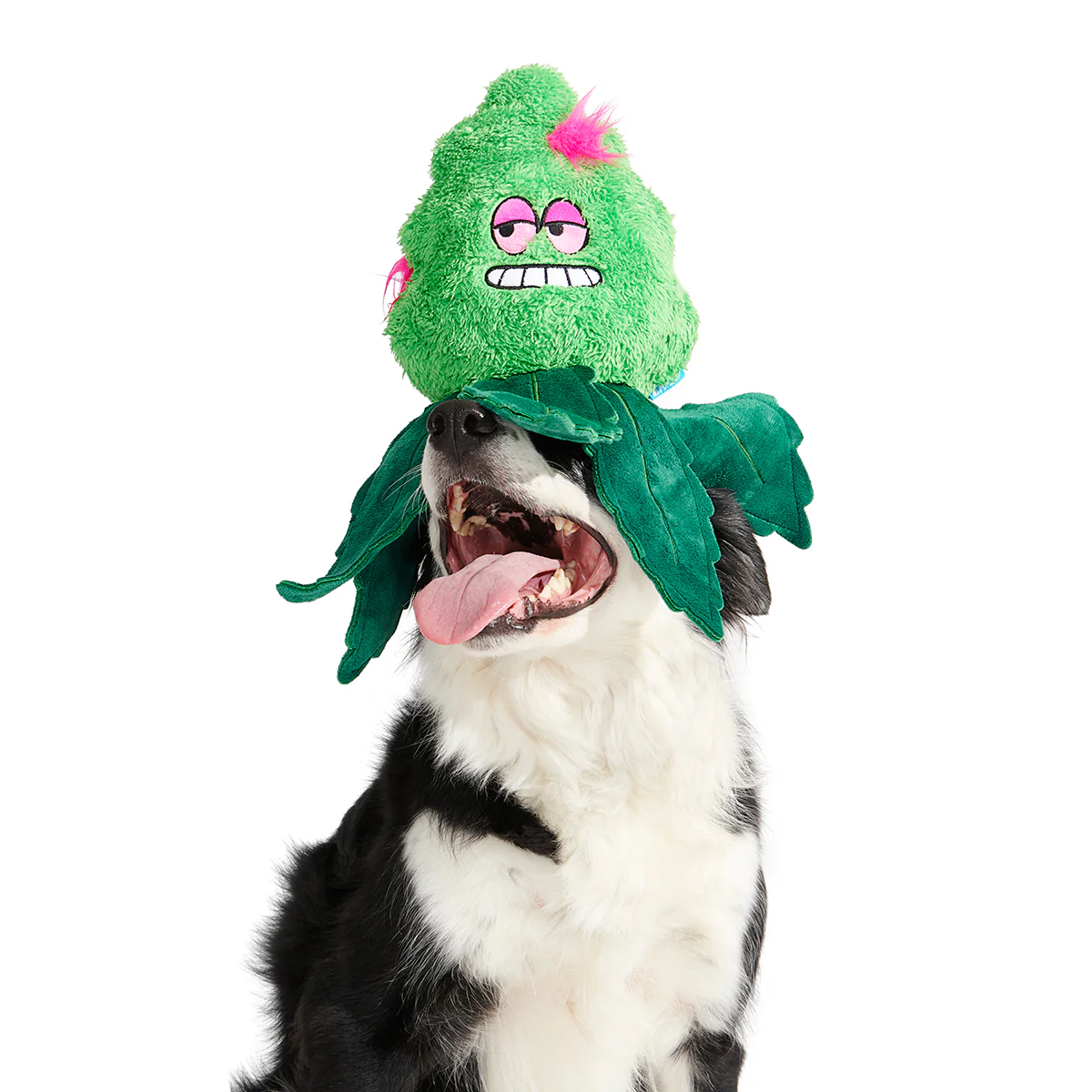 Foggy Green Giant Extra-Large Plush Dog Toy - Image 4