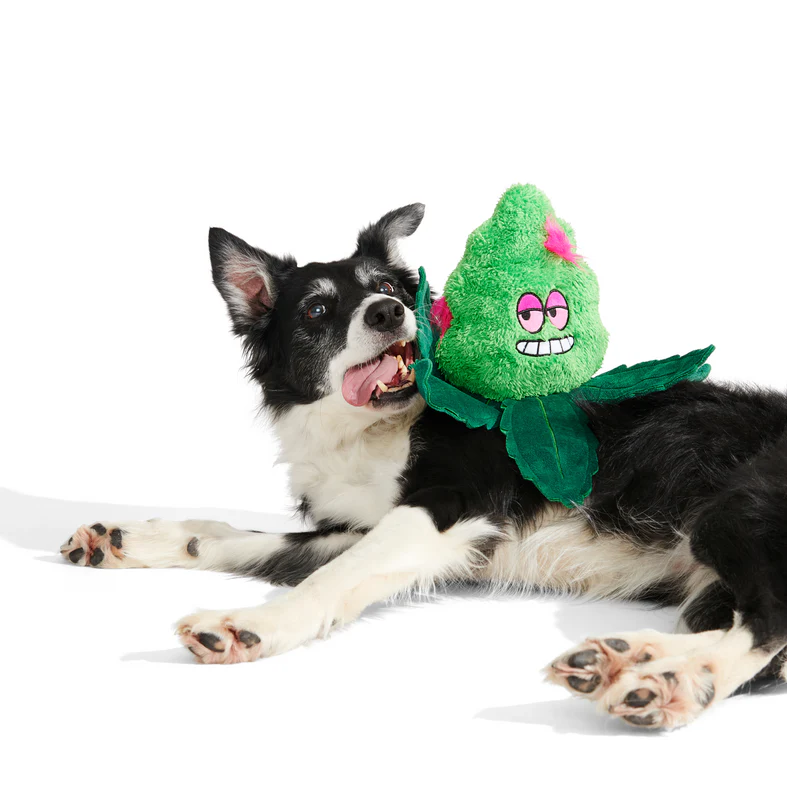 Foggy Green Giant Extra-Large Plush Dog Toy - Image 5