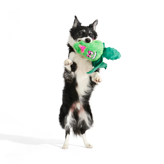 Foggy Green Giant Extra-Large Plush Dog Toy - Image 6