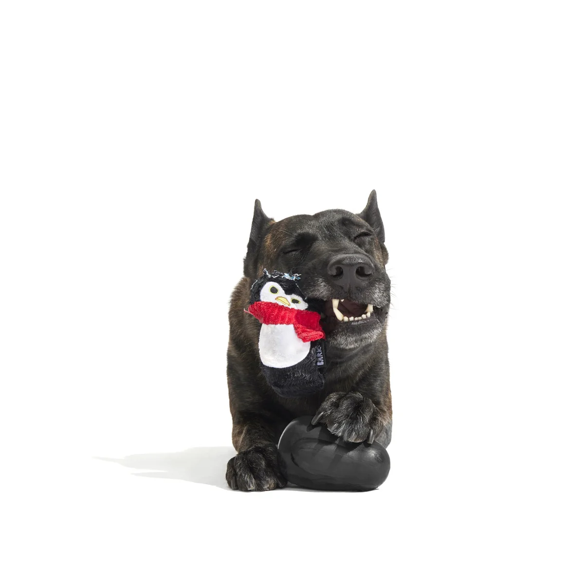 Friendguin Super Chewer Durable 2-in-1 Dog Toy - Image 7