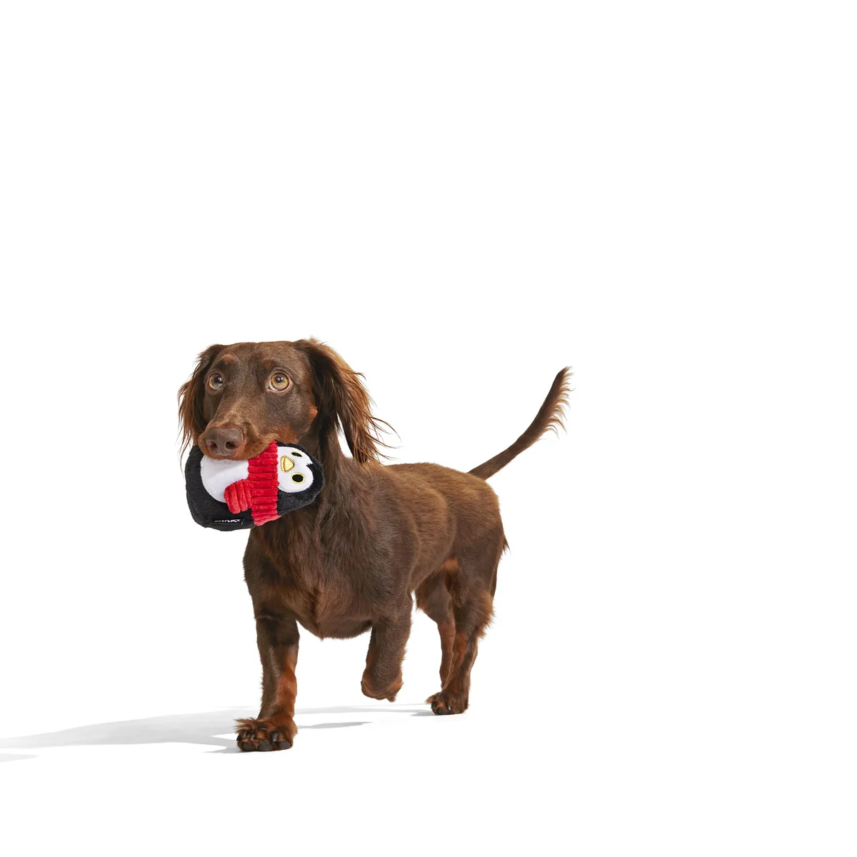 Friendguin Super Chewer Durable 2-in-1 Dog Toy - Image 8