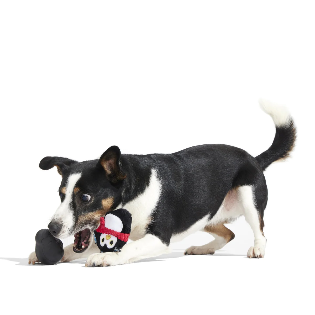 Friendguin Super Chewer Durable 2-in-1 Dog Toy - Image 9