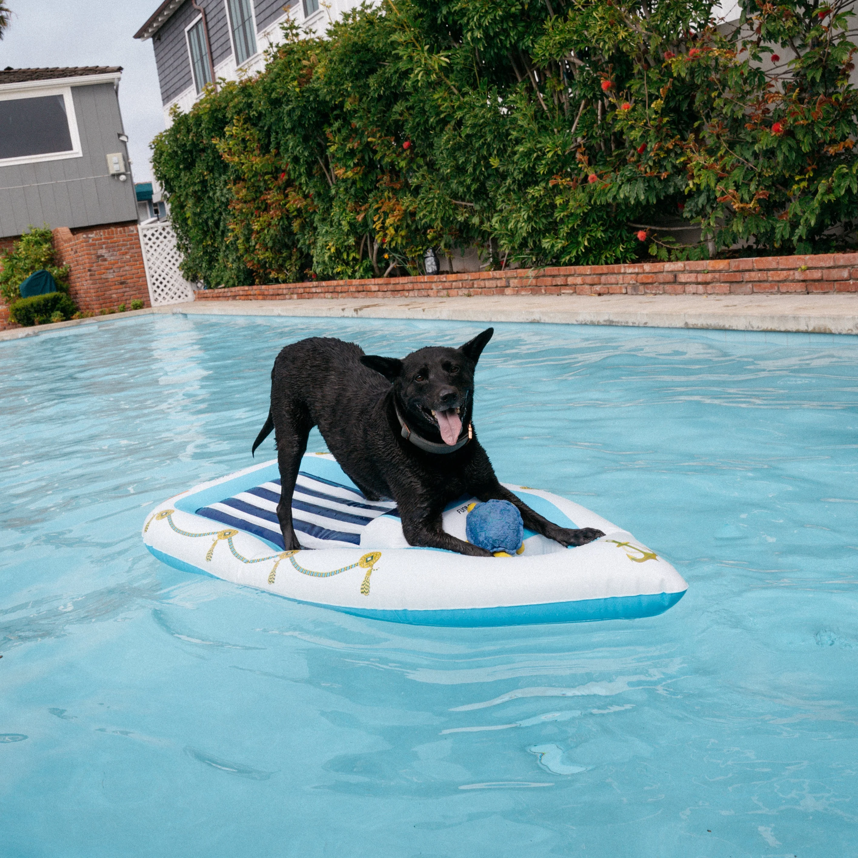Funboy x BARK Dog Yacht Pool Float - Image 2