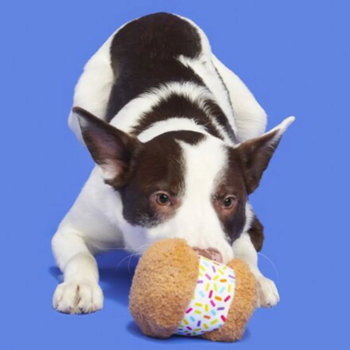 Funfetchi Sniffwich Plush Dog Toy - Image 2