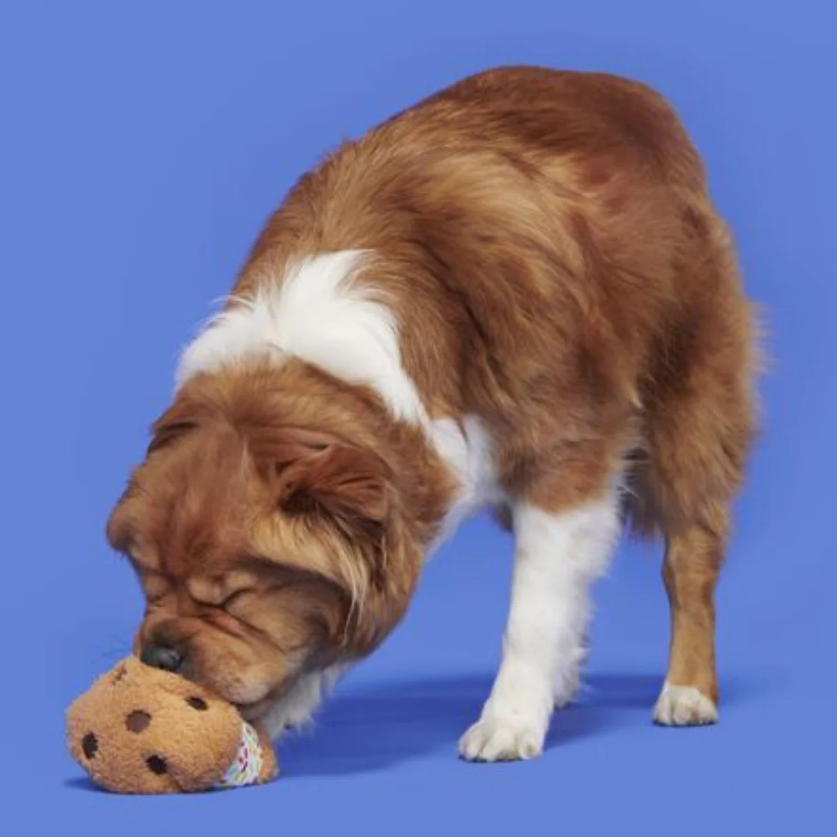 Funfetchi Sniffwich Plush Dog Toy - Image 3
