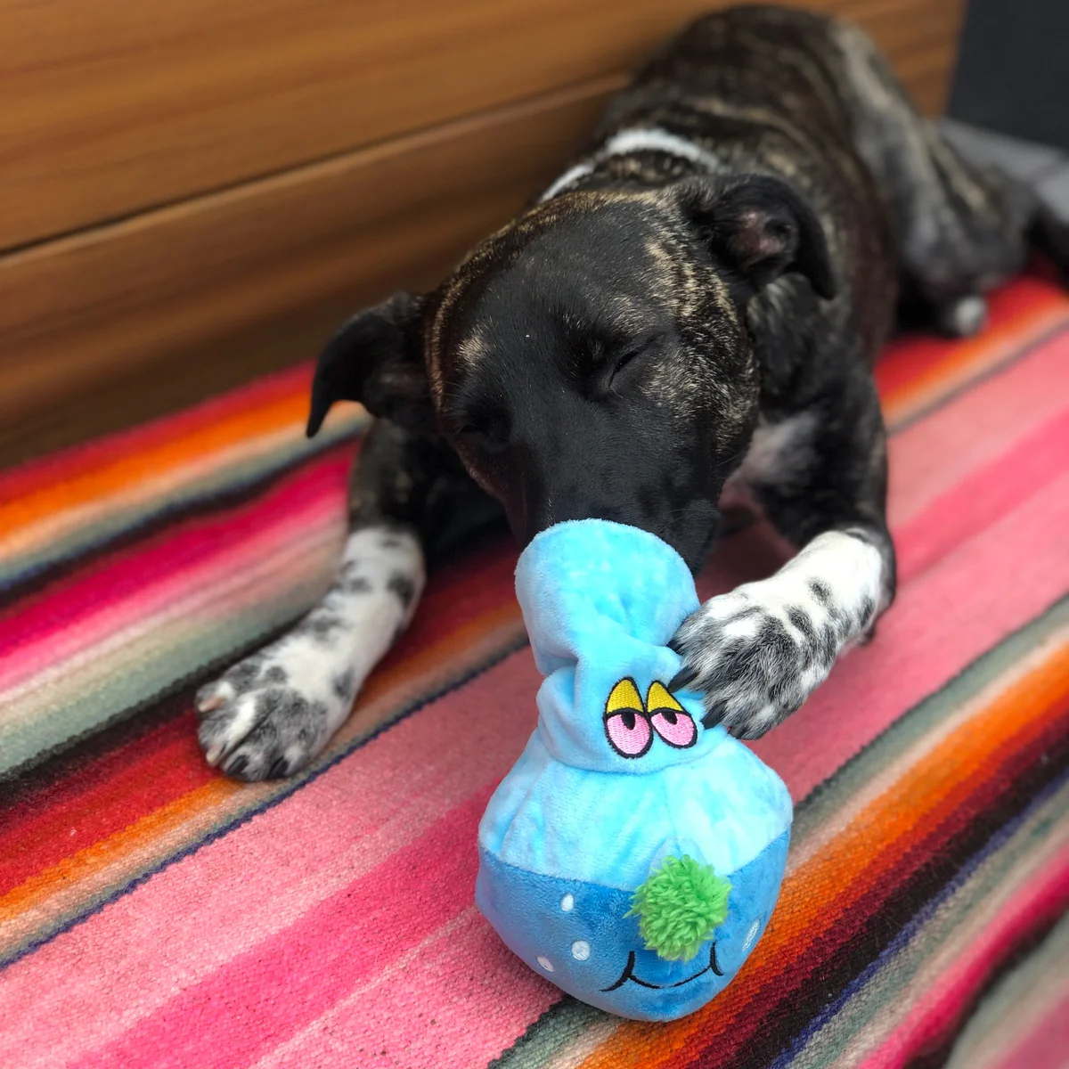 Get A Bong Lil' Doggy Plush Enrichment Dog Toy - Image 2