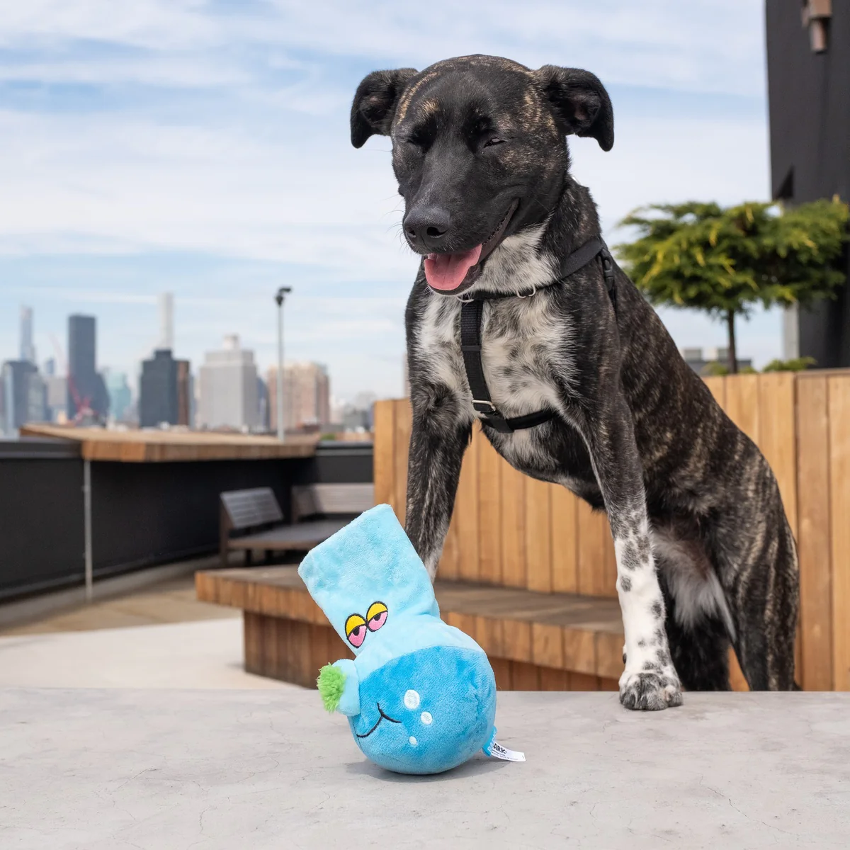 Get A Bong Lil' Doggy Plush Enrichment Dog Toy - Image 4