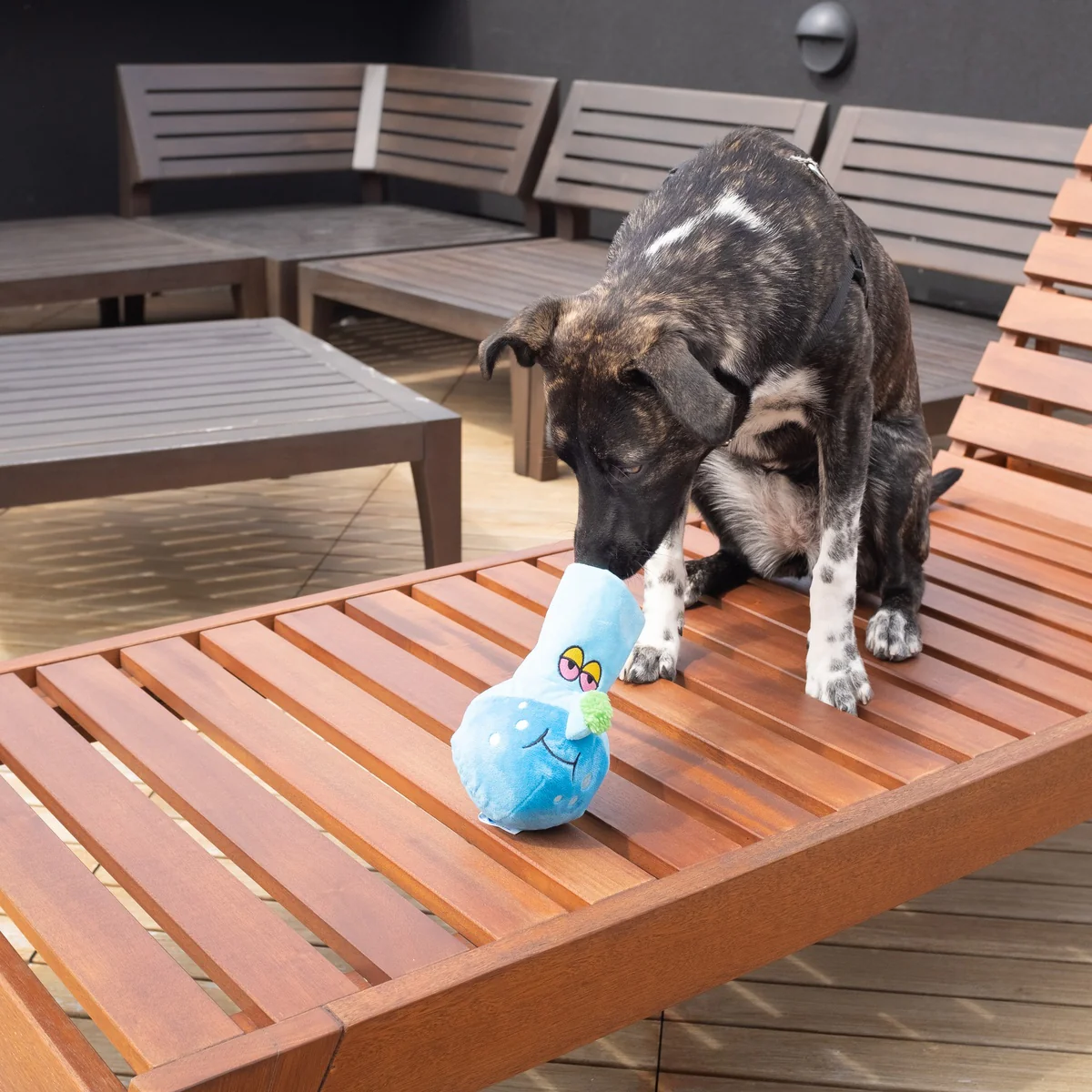 Get A Bong Lil' Doggy Plush Enrichment Dog Toy - Image 5