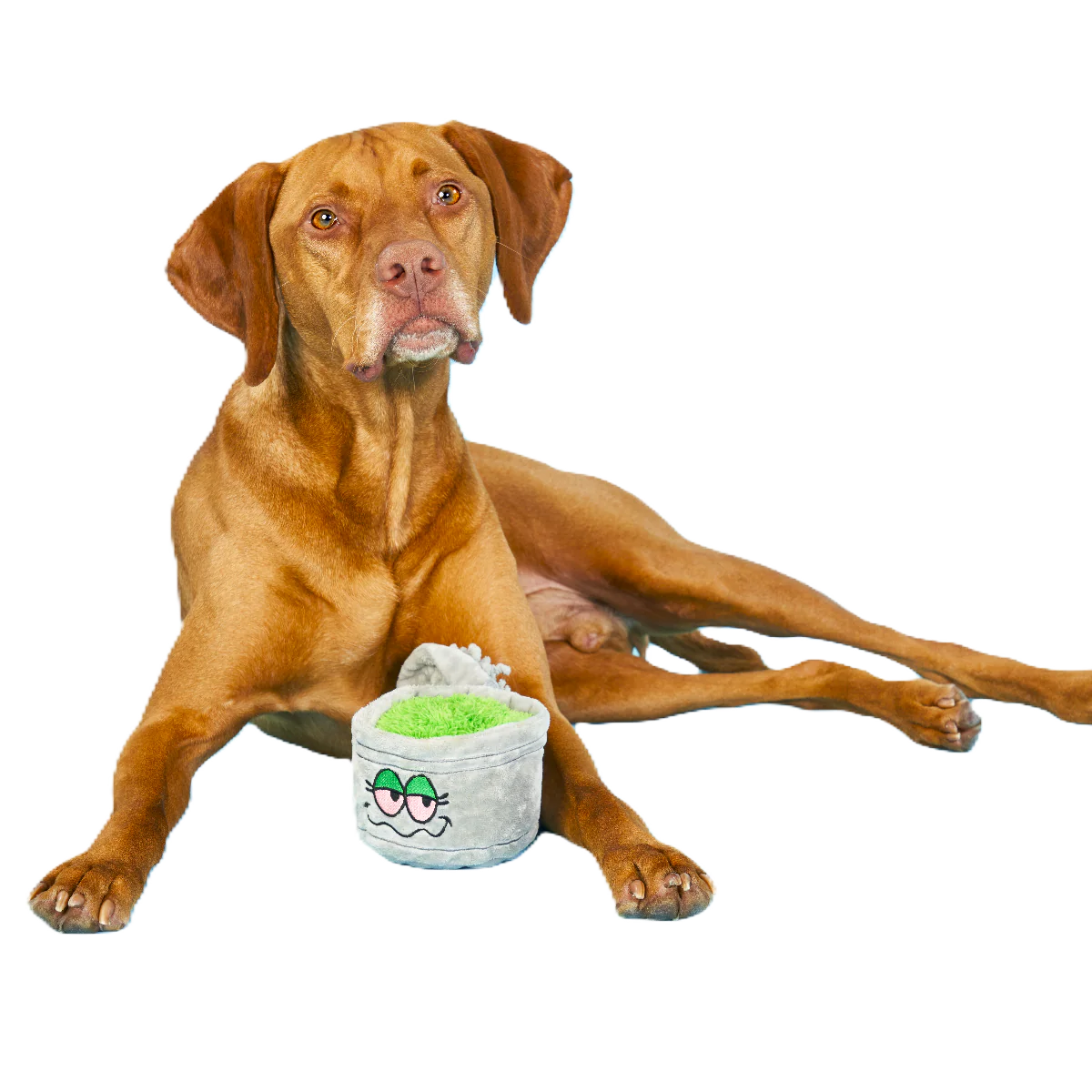 Gina's Grass Grinder Enrichment Dog Toy - Image 2