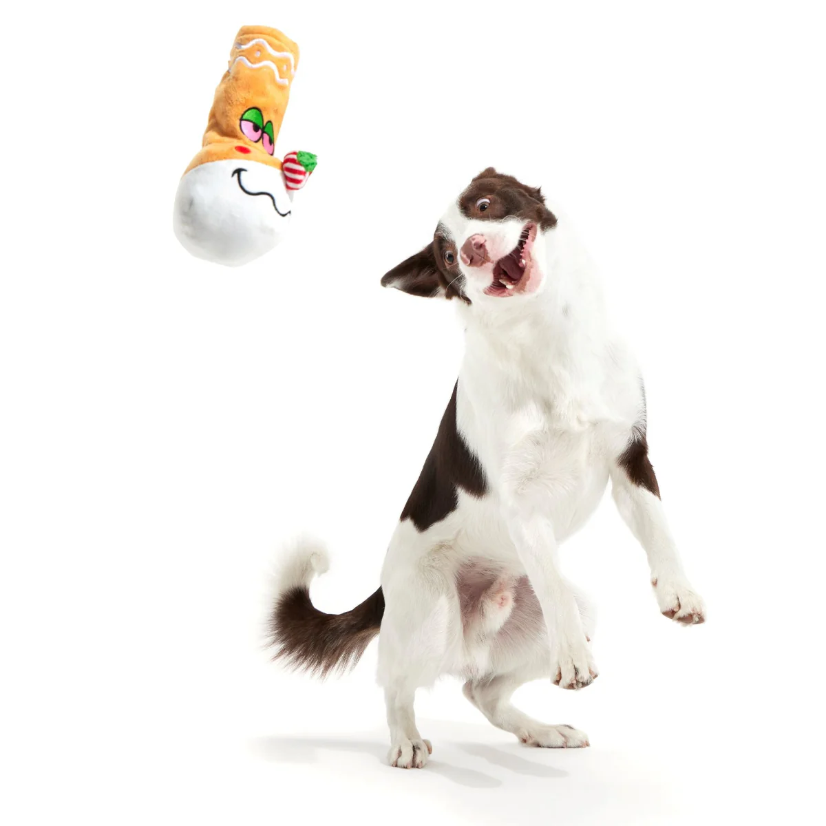 Gingerbong Plush Enrichment Dog Toy - Image 2