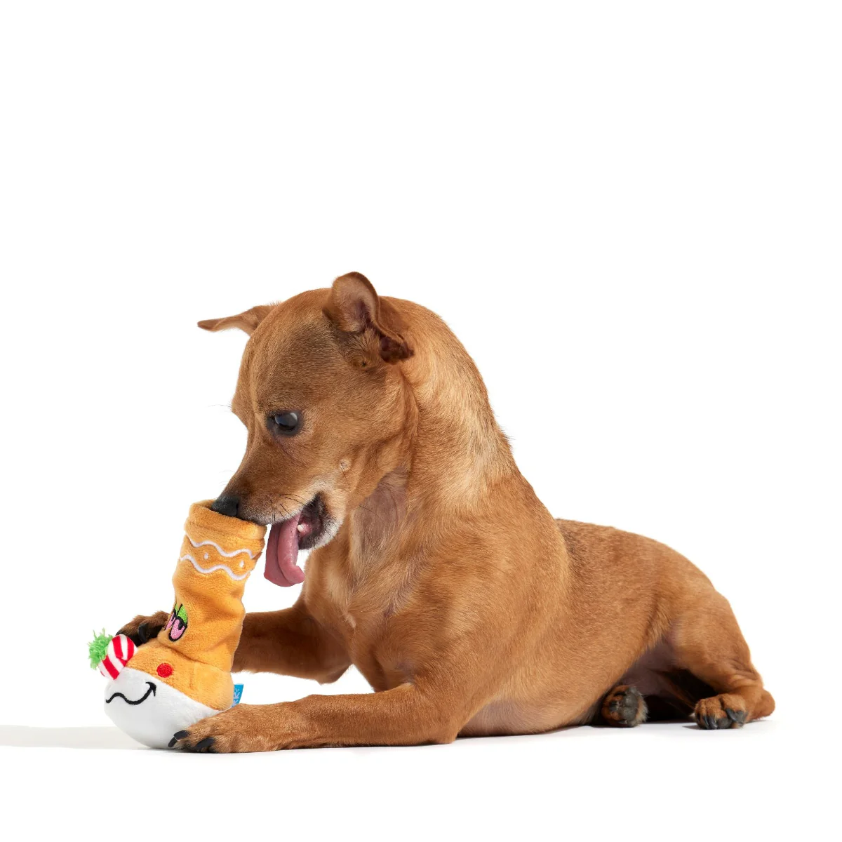 Gingerbong Plush Enrichment Dog Toy - Image 5