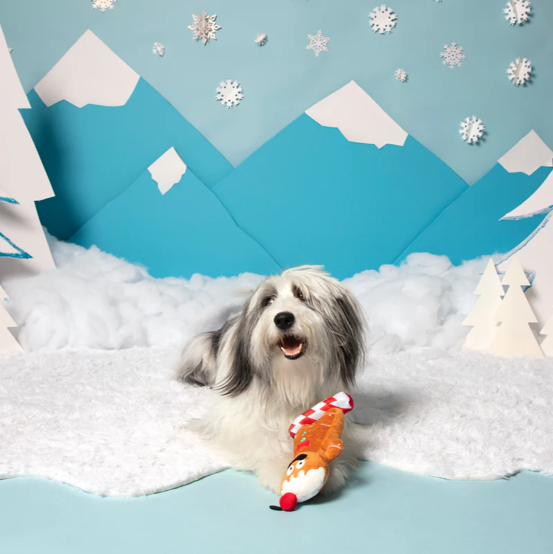 Gingershred Man Plush Tug Dog Toy - Image 2