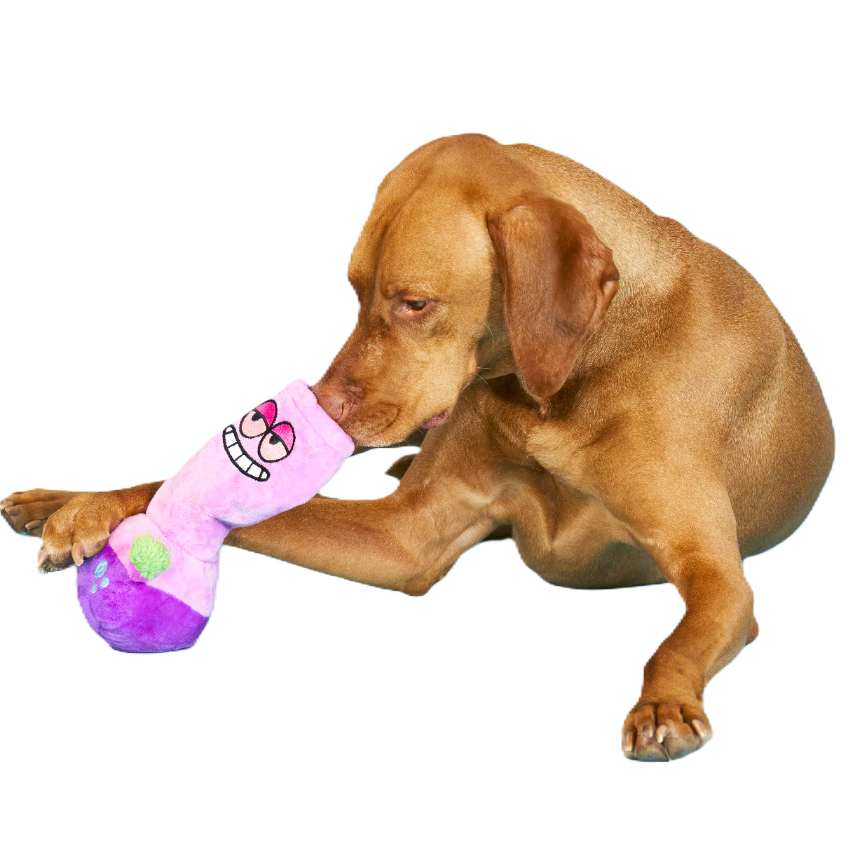 Give A Dog A Bong Plush Enrichment Dog Toy - Image 2