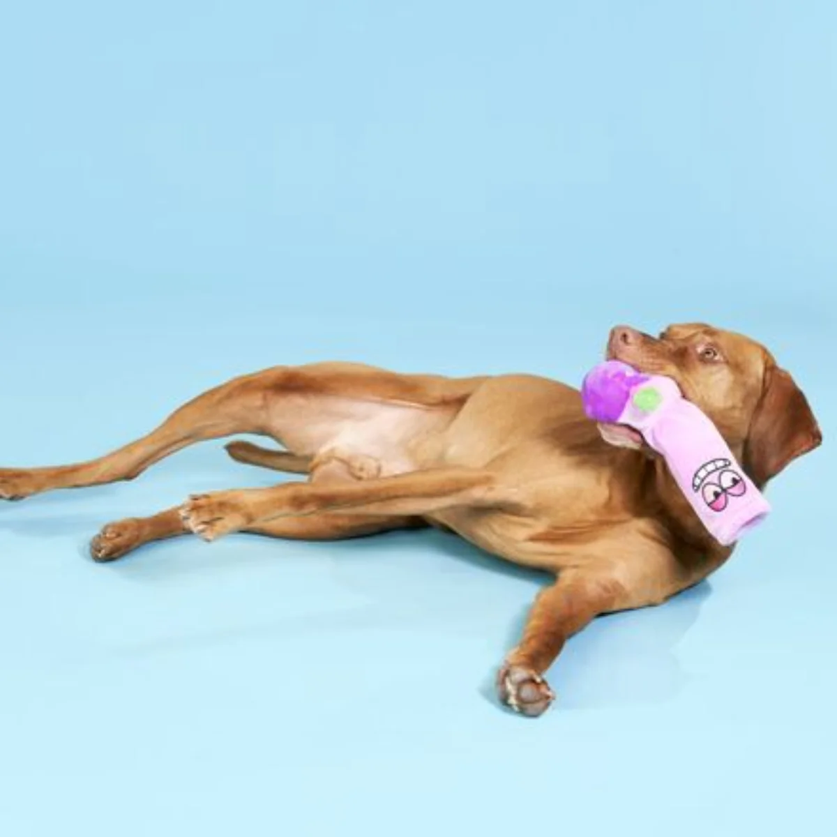 Give A Dog A Bong Plush Enrichment Dog Toy - Image 3