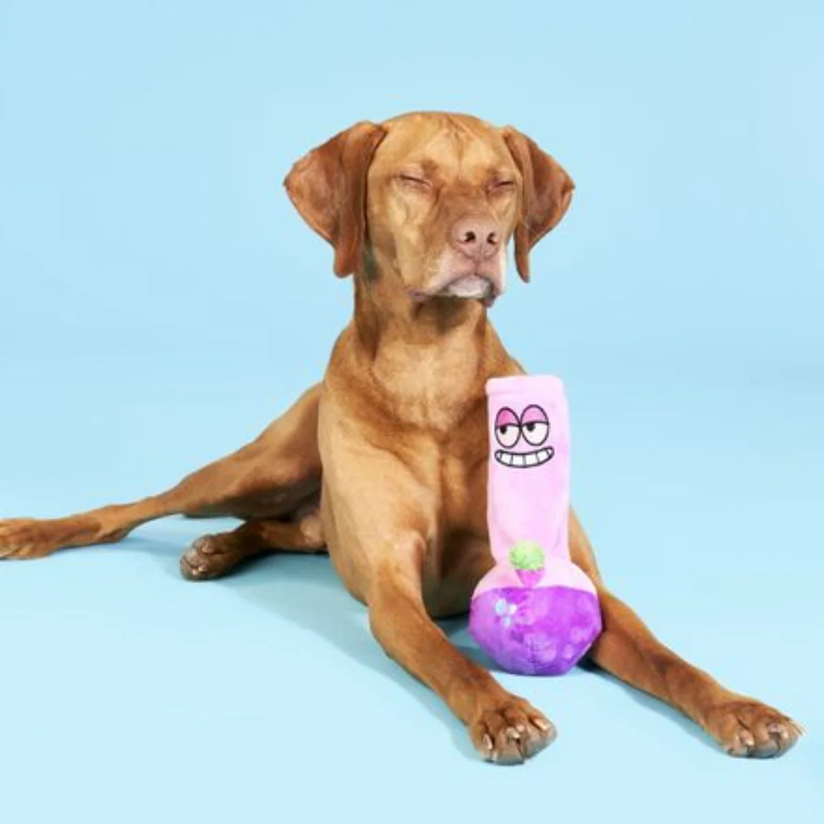Give A Dog A Bong Plush Enrichment Dog Toy - Image 4