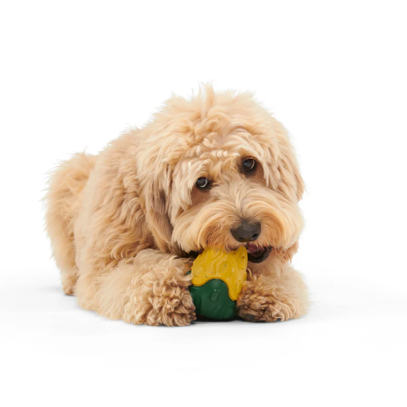 Good Gourd Gnaw Mighty Durable Super Chewer Dog Toy - Image 2