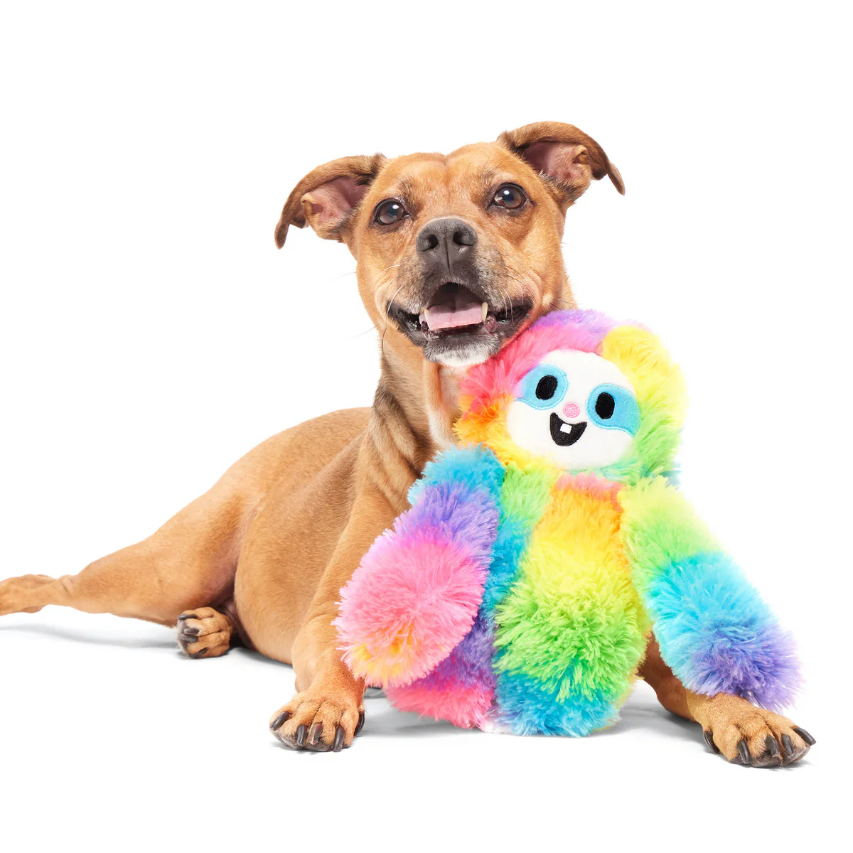 Good Vibes Gary Plush Tug Dog Toy - Image 2