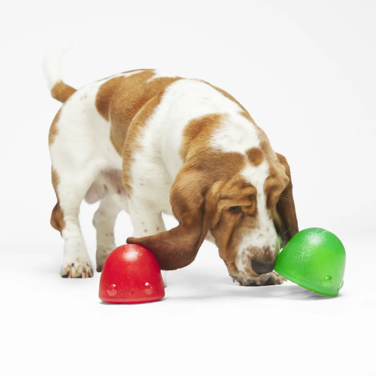 Goody Goody Gumdrops Durable Super Chewer Multi-Part Dog Toy - Image 2